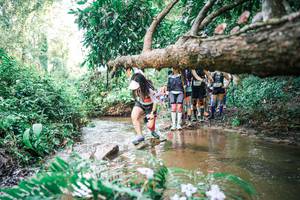 BIB: 
                            <button type="button" onclick="openModal(25514784)" class="btn btn-primary btn-sm float-right btn-popup" data-toggle="modal" data-target=".modal-high-quality">
                        <i class="fas fa-shopping-cart"></i> Add to Cart
                    </button>
                                            <button type="button" onclick="isThisMe(25514784, true)" class="btn btn-success btn-sm float-right btn-popup btn-isme hidden" data-toggle="tooltip" data-placement="bottom" title="นี่คือรูปของคุณใช่ไหม คลิกที่นี่เพื่อเอาเข้าอัลบั้ม">
                        <i class="fas fa-plus"></i> Add to album
                    </button>
                    <button type="button" onclick="isThisMe(25514784, false)" class="btn btn-warning btn-sm float-right btn-popup btn-isnotme hidden">
                        <i class="fas fa-ban"></i> Remove from album
                    </button>